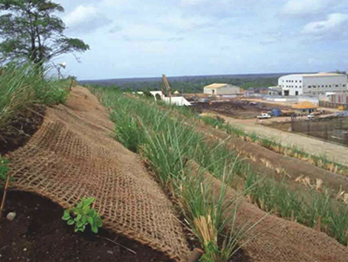 Mine Closure & Rehabilitation